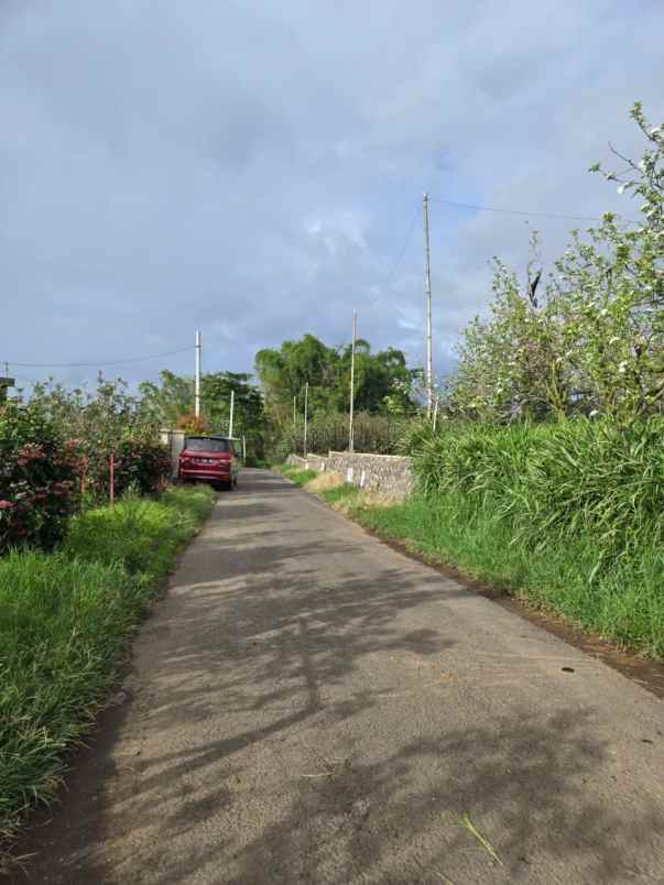 dijual tanah sumbergondo