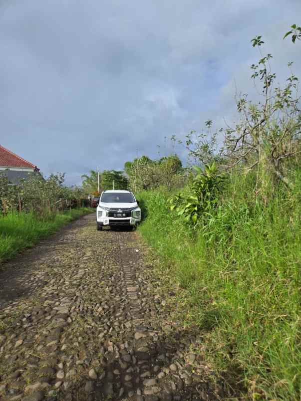 dijual tanah sumbergondo