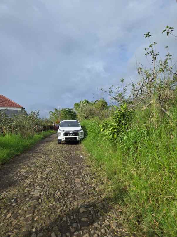 dijual tanah sumbergondo