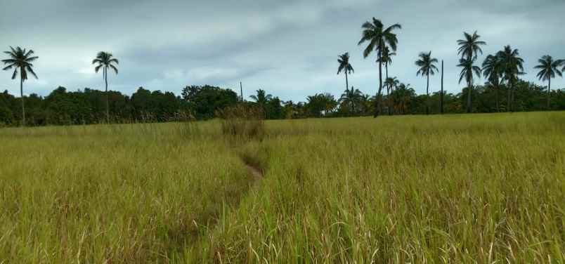 dijual tanah tanjungkelumpang