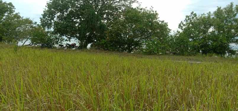 dijual tanah tanjungkelumpang