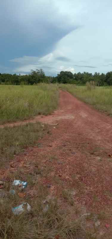 dijual tanah tanjungkelumpang