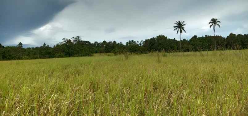 dijual tanah tanjungkelumpang