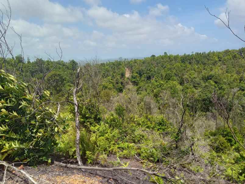 dijual tanah toapaya