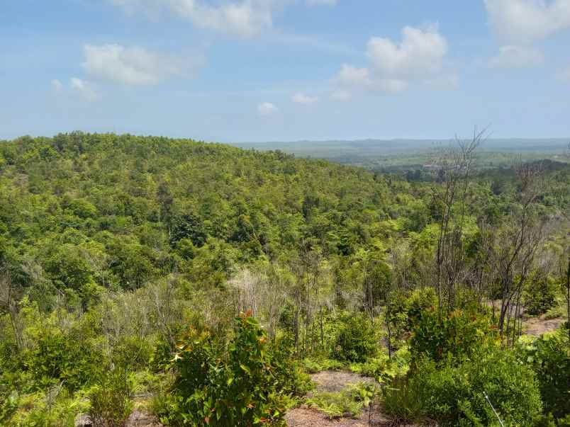 dijual tanah toapaya