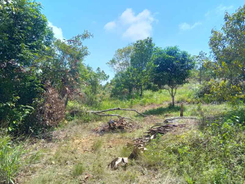 dijual tanah toapaya