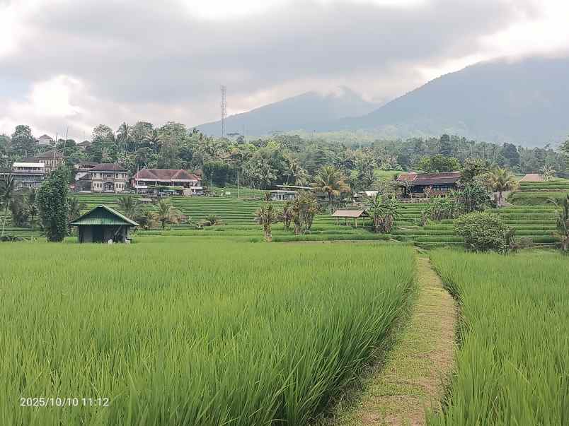 dijual tanah ungasan badung bali