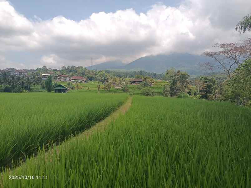 dijual tanah ungasan badung bali