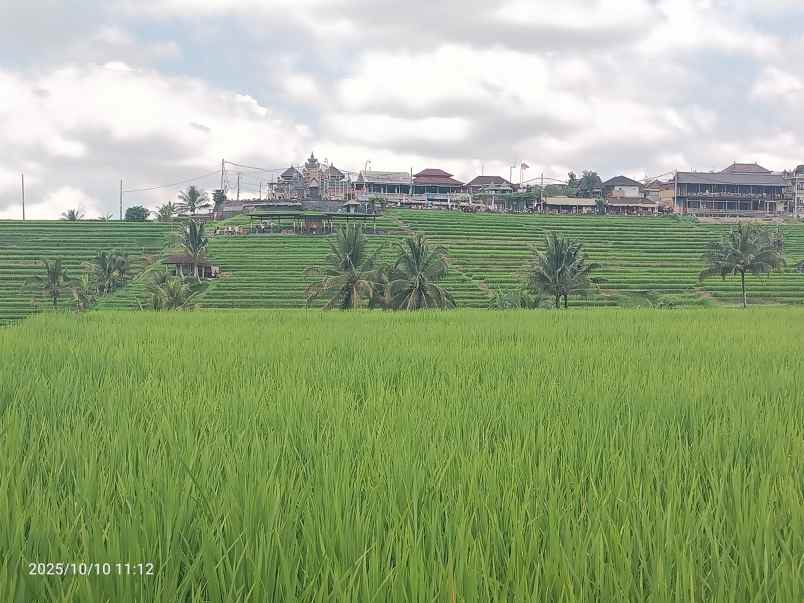 dijual tanah ungasan badung bali