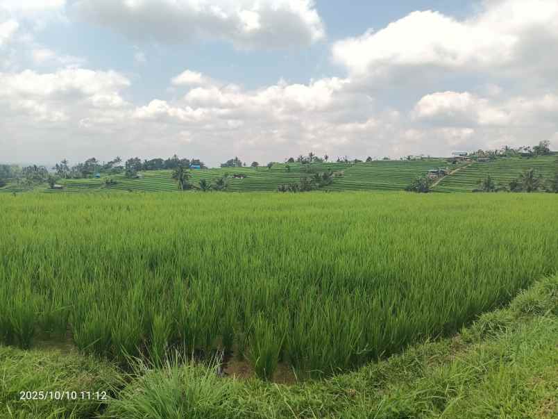 dijual tanah ungasan badung bali