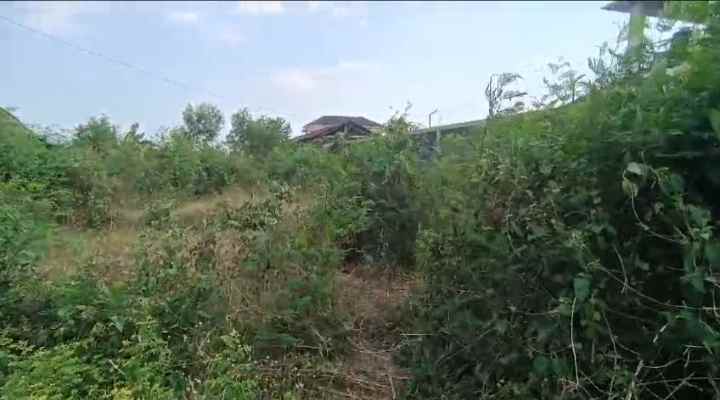 dijual tanah wirokertan banguntapan bantul diy