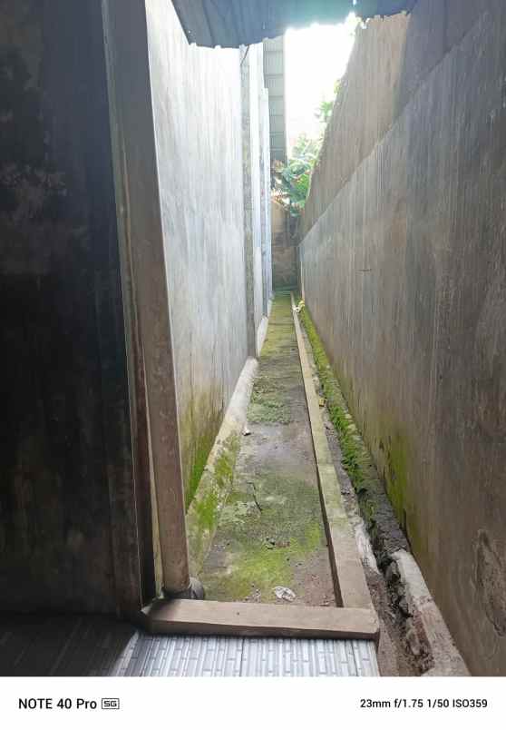 disewakan ruko gudang kantor jl martadireja ii kepetek