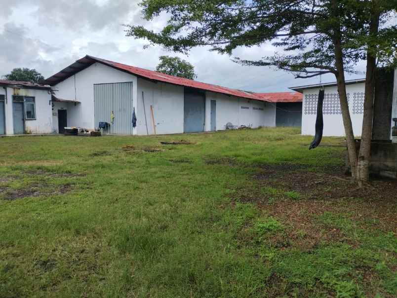 disewakan ruko gudang kantor teluk purwokerto selatan