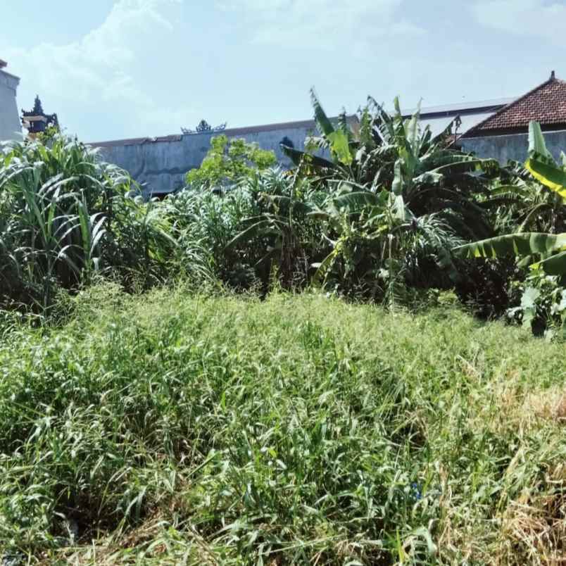 disewakan tanah buluh indah