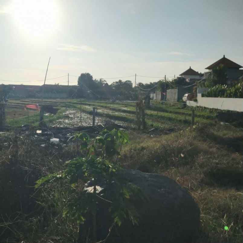 disewakan tanah bumbak