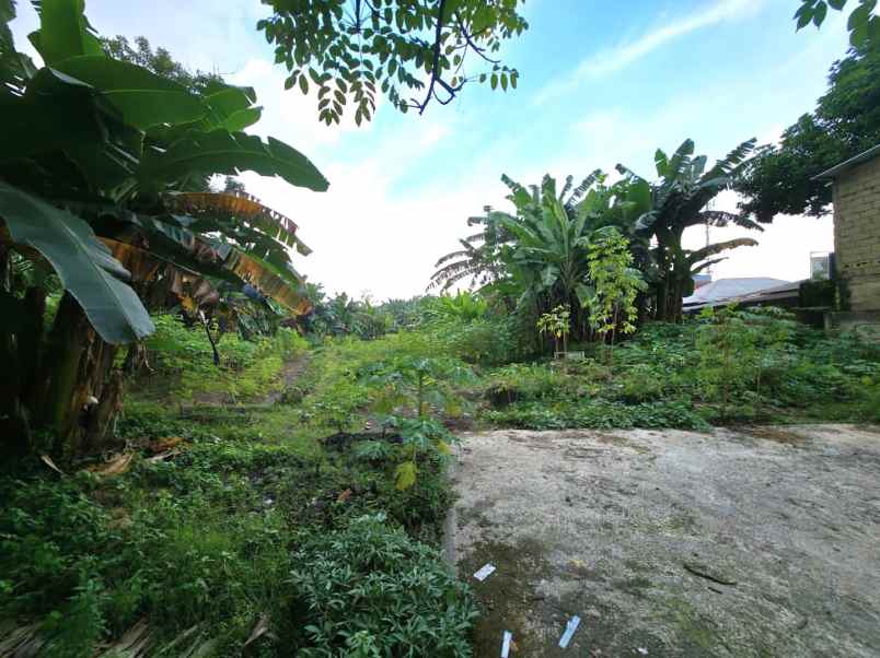 disewakan tanah jalan buaran raya serpong