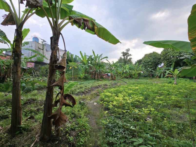 disewakan tanah jalan buaran raya serpong