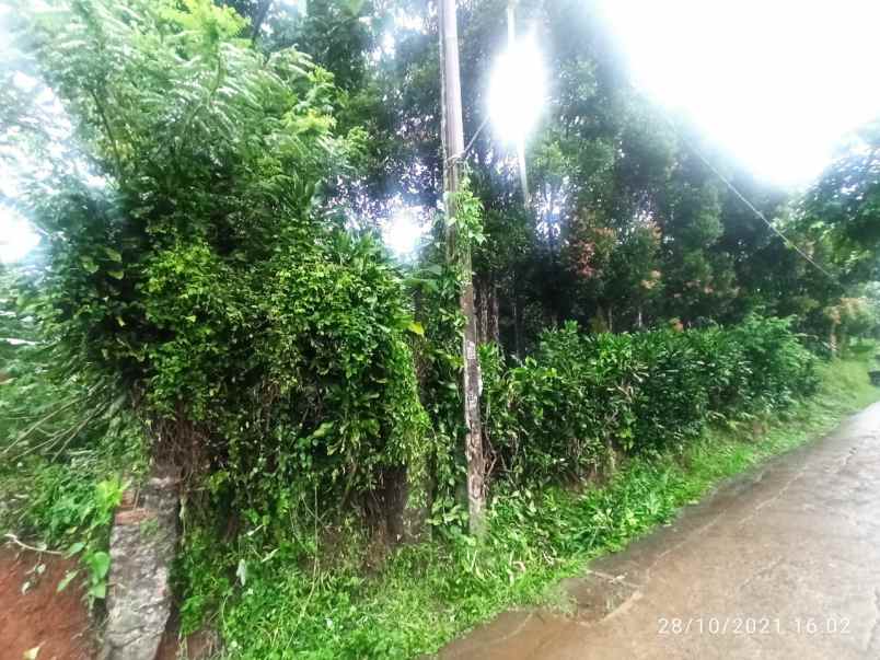 jual 3 bidang tanah bersertifikat