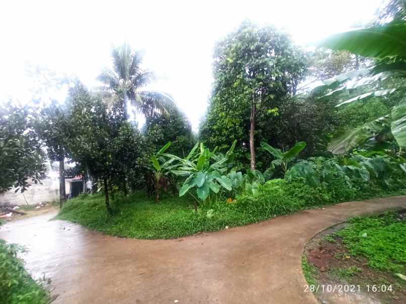 jual 3 bidang tanah bersertifikat