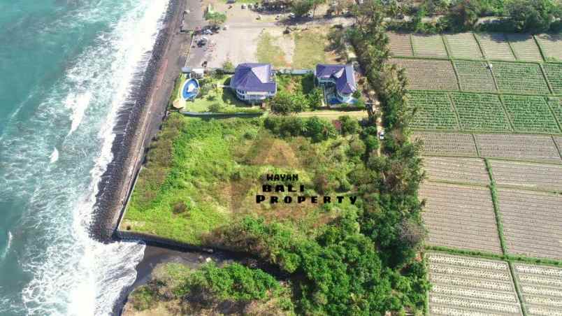 jual tanah los pinggir pantai purnama ketewel