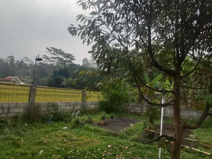 kolam pemancingan kebun produktif ciater subang