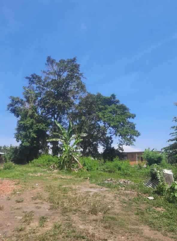 land for leasehold in kedungu bali close canggu