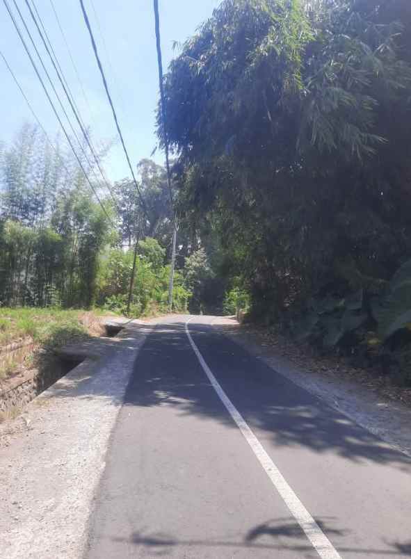 land for leasehold in kedungu bali close canggu
