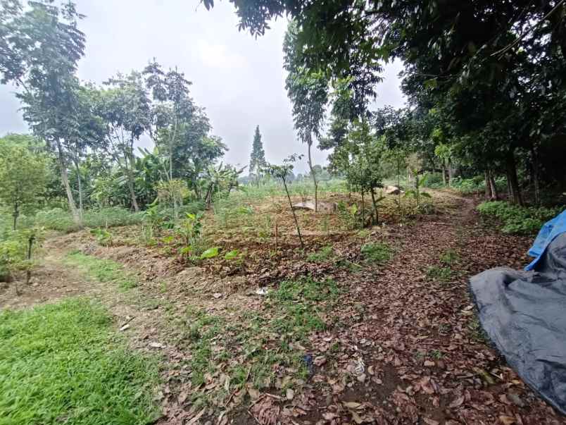 murah tanah ciapus bogor best view