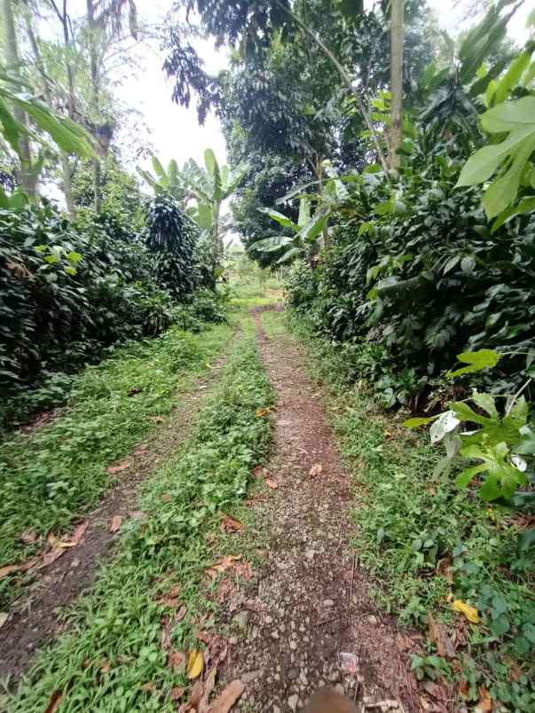 murah tanah ciapus bogor best view