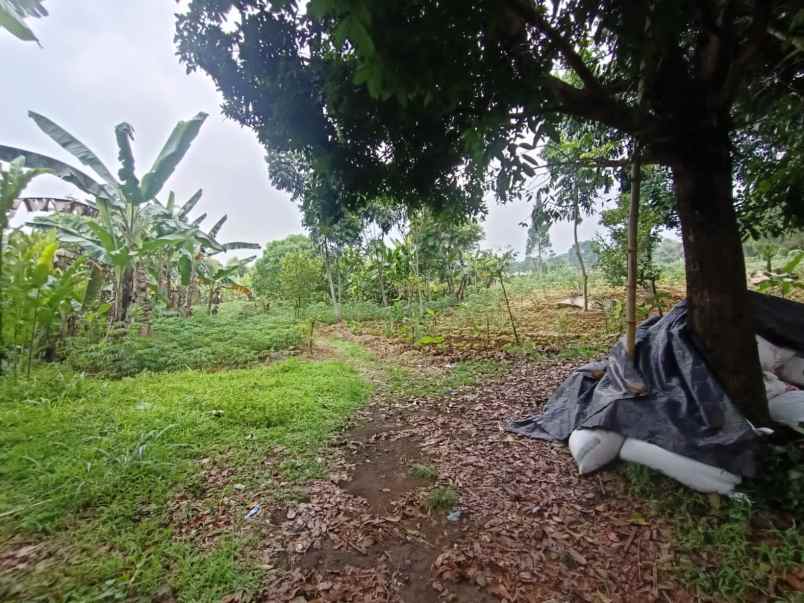 murah tanah ciapus bogor best view