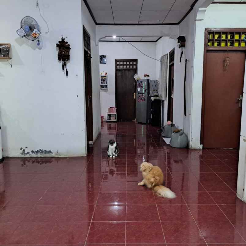 rumah murah dekat kampus ui depok