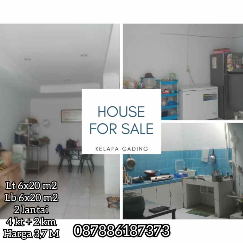 rumah pelepah kuning kelapa gading