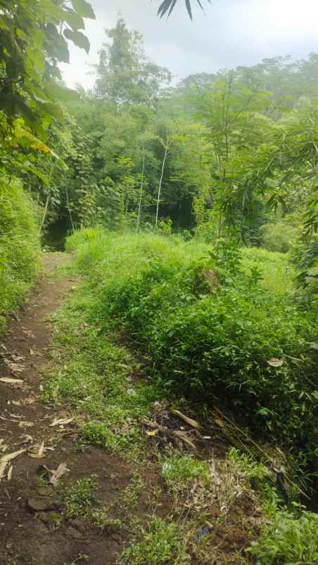 rumah siap huni bonus tanah lokasi di malang