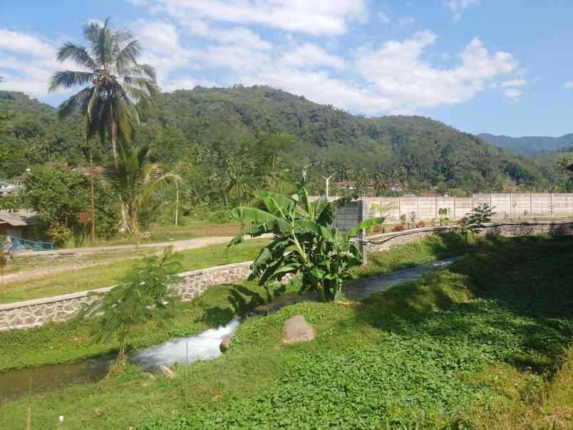 sawah dekat mata air sungai subang jawa barat
