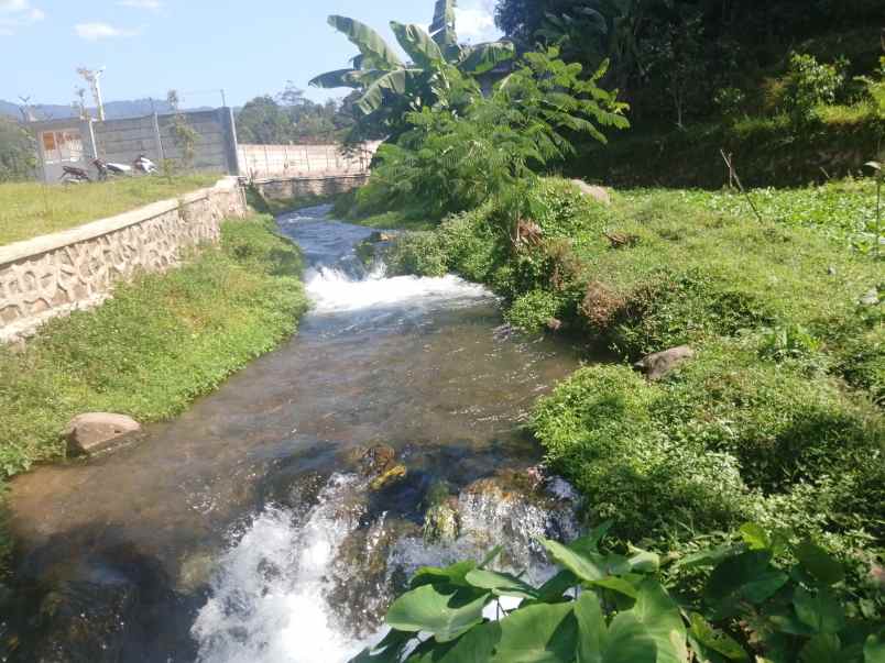 sawah dekat mata air sungai subang jawa barat