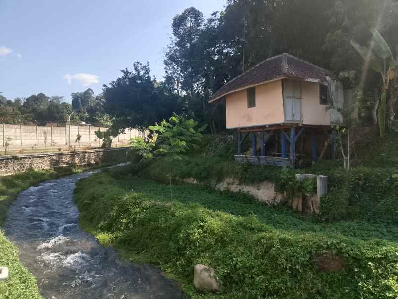sawah dekat mata air sungai subang jawa barat