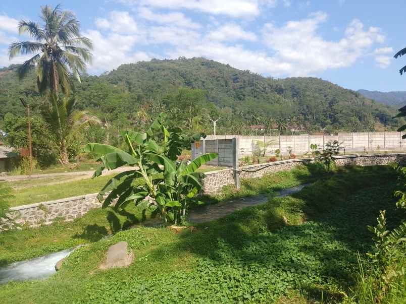 sawah dekat mata air sungai subang jawa barat
