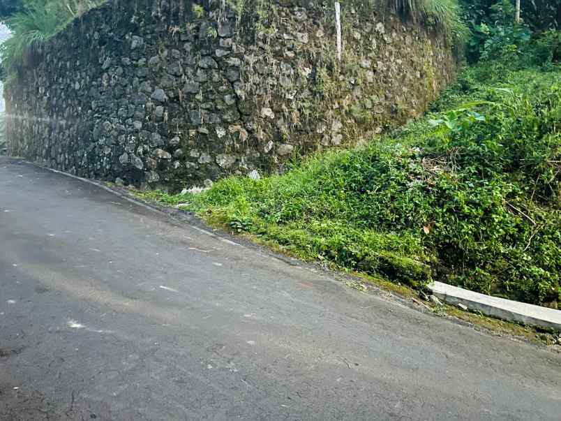 sawah murah 100 juta tawangmangu karanganyar