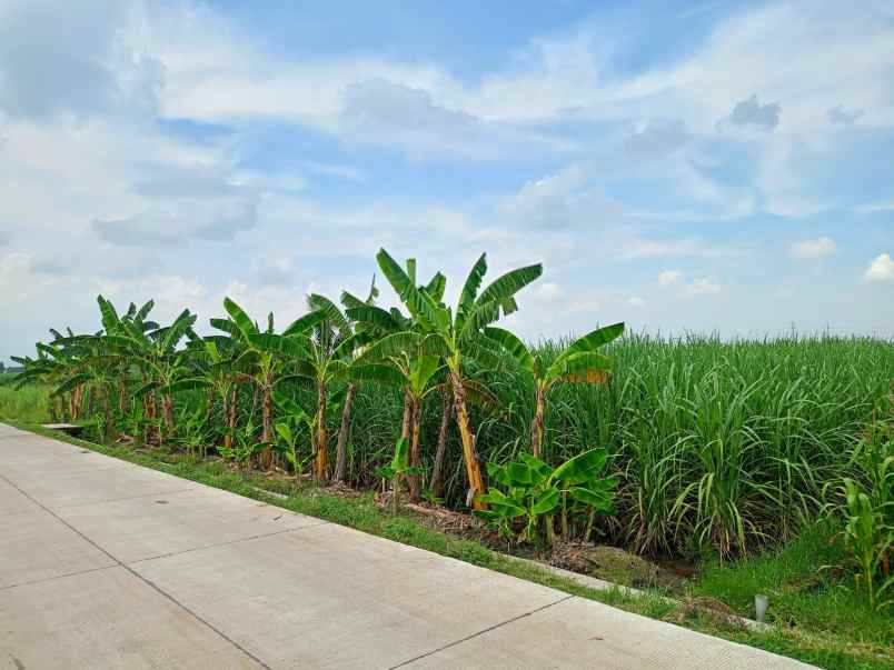 tanah 10 300 meter cocok untuk perumahan