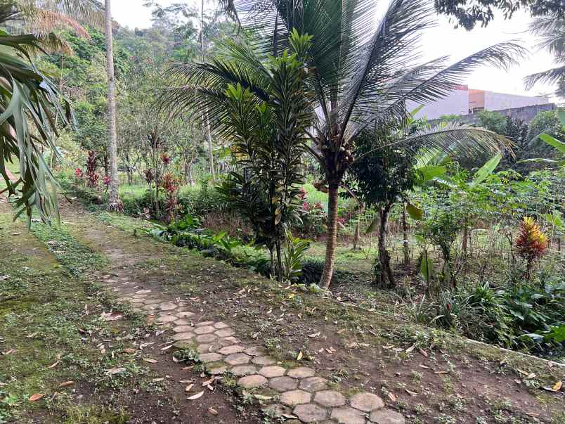 tanah 220 juta cocok untuk villa tawangmangu