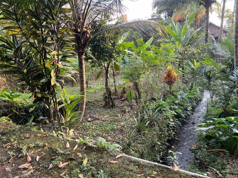 tanah 220 juta cocok untuk villa tawangmangu