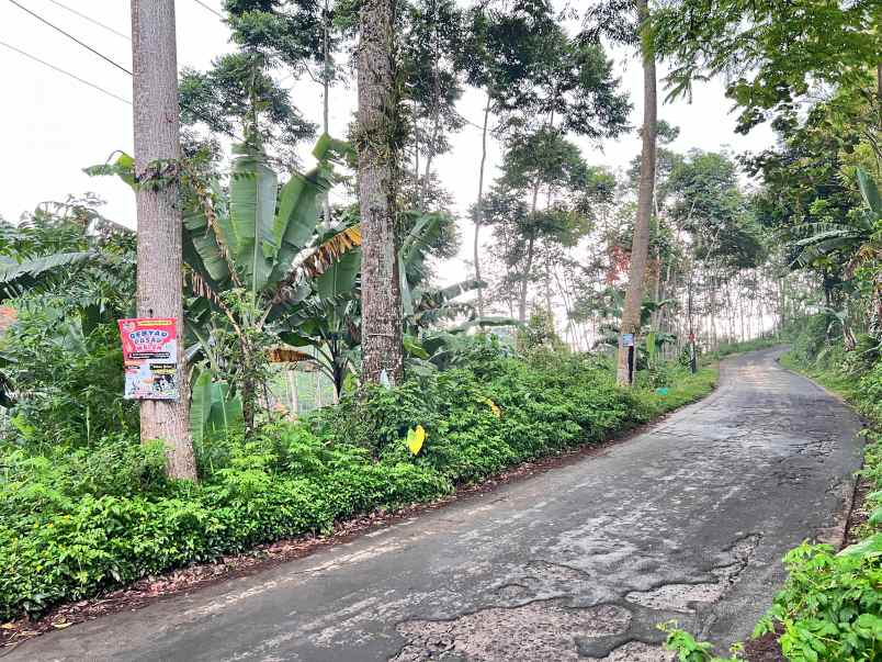 tanah 250 juta strategis bangun caf kemuning