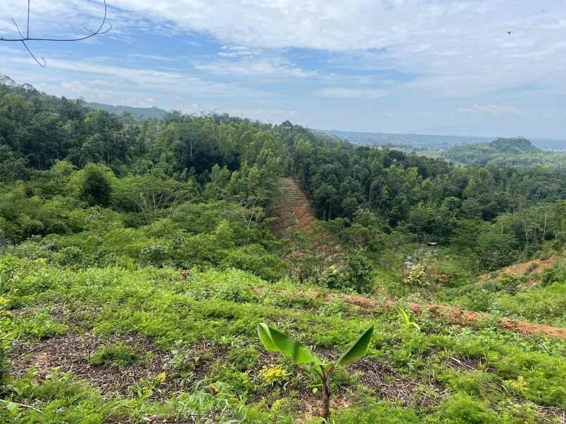 tanah 2960m hanya 275 juta udara dingin karangpandan