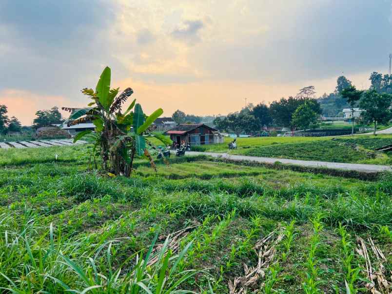 tanah 600m kawasan wisata karangpandan