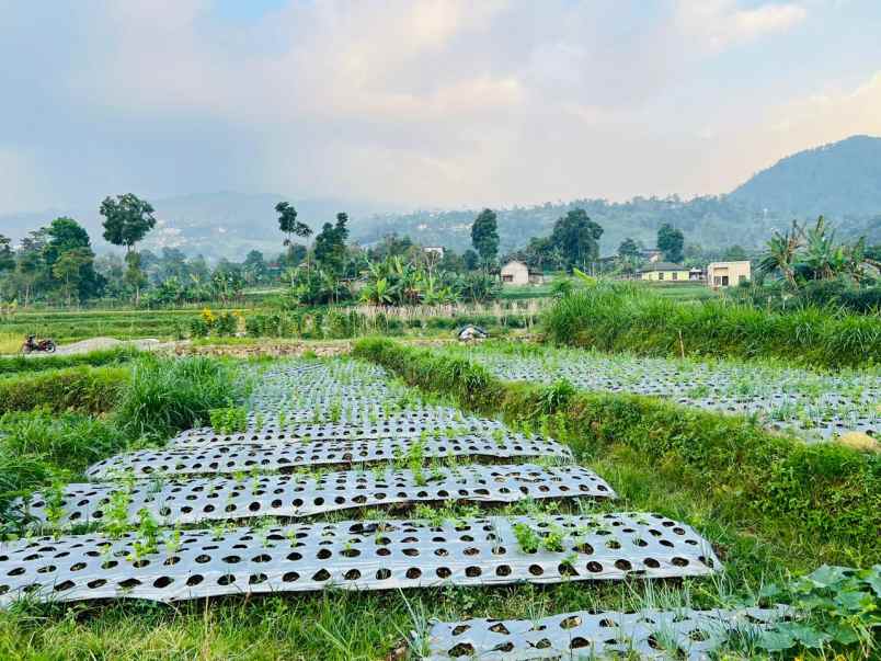 tanah 600m kawasan wisata karangpandan