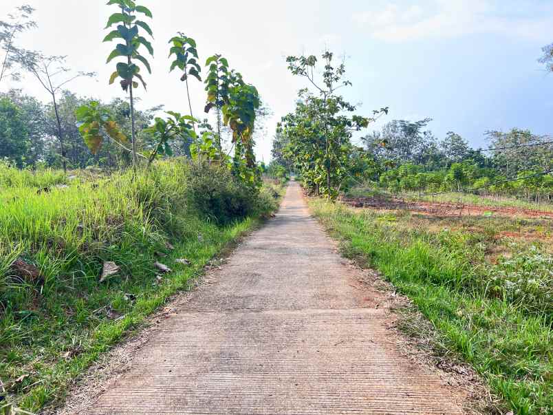 tanah 8200m 200rb m kerjo karanganyar utara