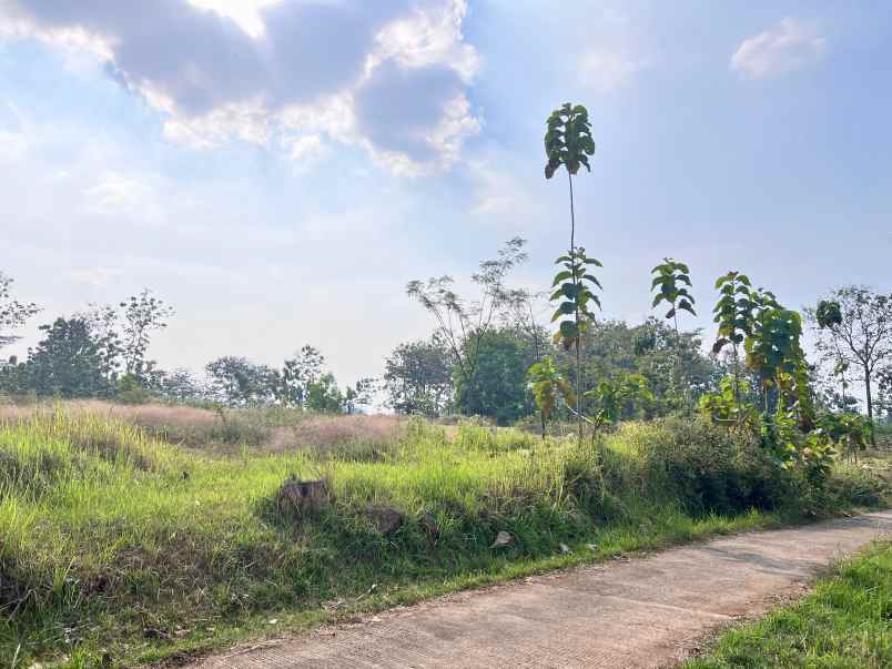 tanah 8200m 200rb m kerjo karanganyar utara