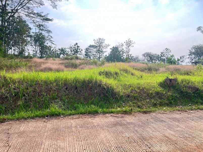 tanah 8200m 200rb m kerjo karanganyar utara