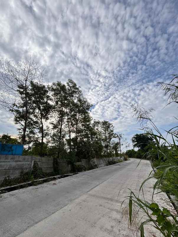 tanah cerme gresik jual cepat