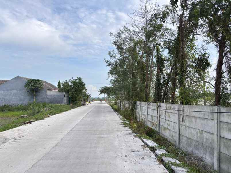 tanah cerme gresik jual cepat